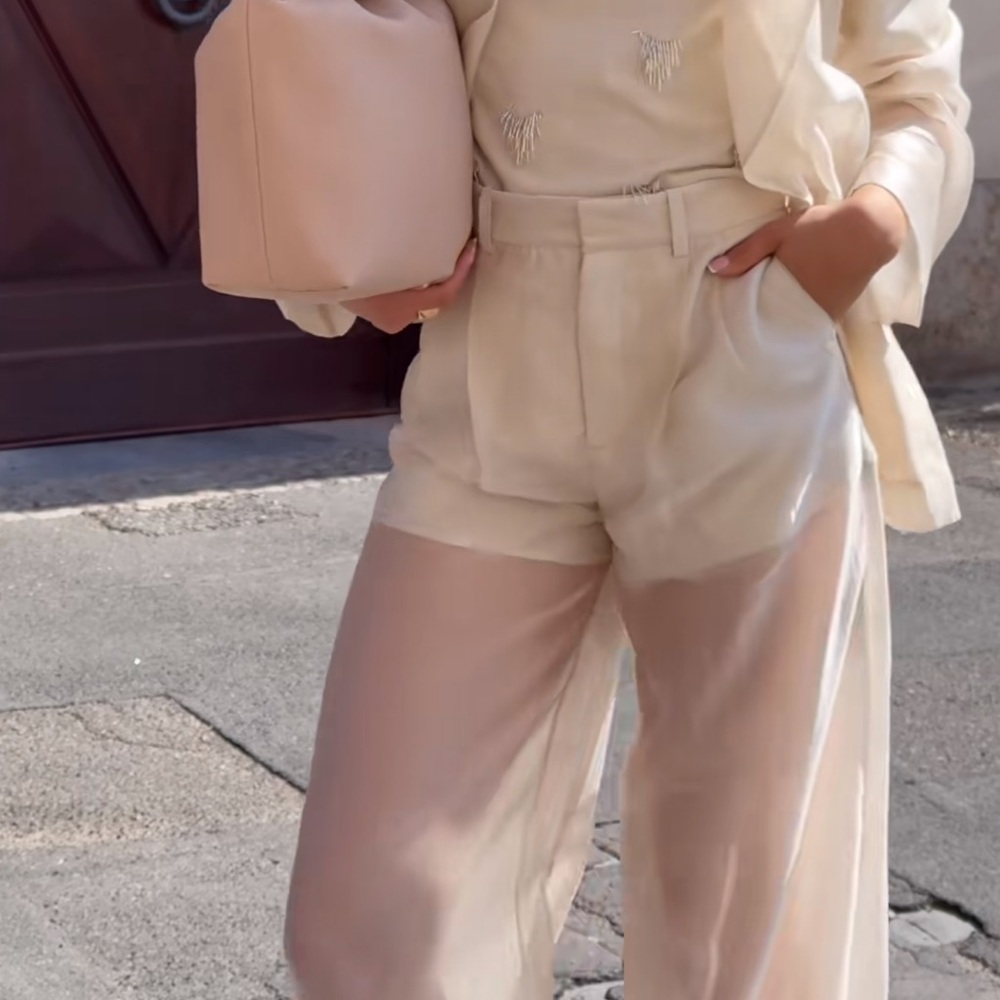 H&M EDITION WIDE-LEG SHEER PANTS - Picture 13 of 14